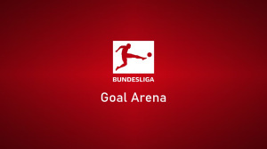 Goal Arena